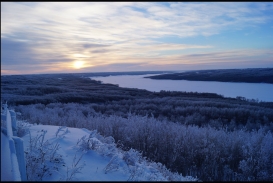 winter beauty